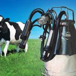 доильный аппарат для коров