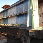 Making a bee pavilion