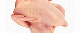 How can you tell if the chicken has gone bad?