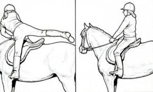Как сесть верхом на лошадь