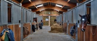 Stable