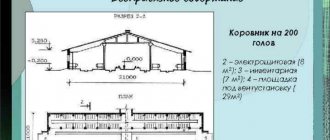 Cowshed for 200 heads