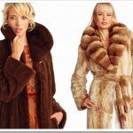 Краеугольные отличия меха кролика от меха норки