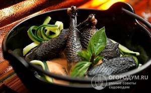 Нежирное темное мясо китайских кур богато аминокислотами, традиционно используется не только в кулинарии, но и в восточной народной медицине
