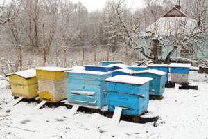 Подготовка к зимовке пчел