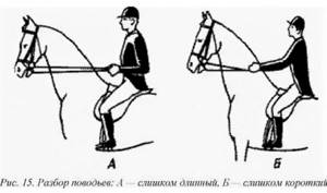 Управление лошадью