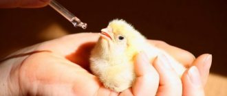 Vitamins for broiler chickens